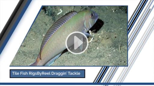 Tile Fish Rigs, Golden Tile Multi Pack