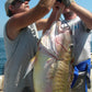 Tile Fish Rigs, Circle Hook Rigs (5/0 - 9/0  1x wire Circle Hooks) - Reel Draggin' Tackle - 13