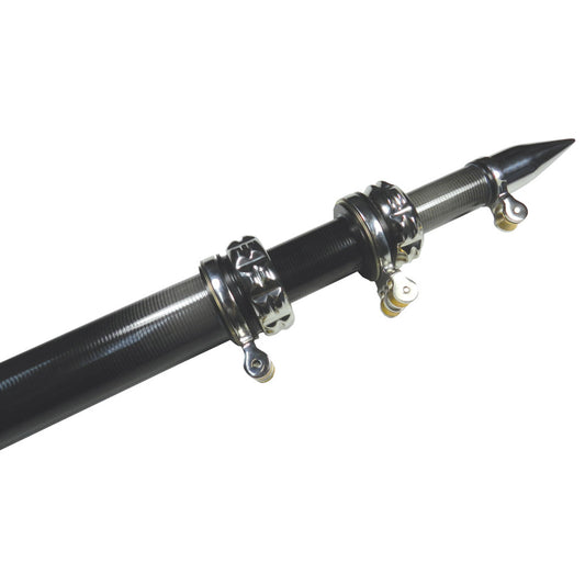 TACO 16' Carbon Fiber Outrigger Poles - Pair - Black - Reel Draggin' Tackle