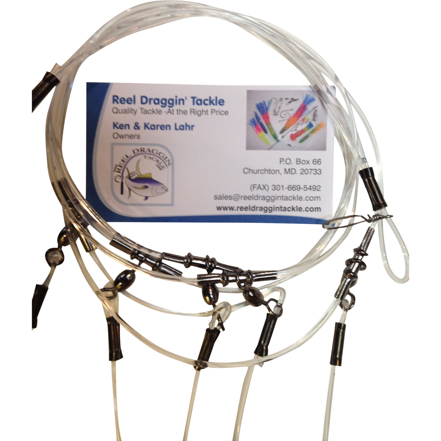 Tile Fish Rigs, Circle Hook Rigs (5/0 - 9/0  1x wire Circle Hooks) - Reel Draggin' Tackle - 9