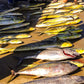 Predator Sport Fishing -Cape Hatteras Nc.- - Reel Draggin' Tackle - 10